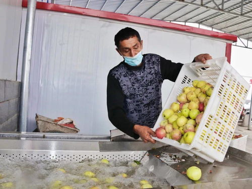 助力乡村振兴 温泉县特色农产品，盐城发展新篇章