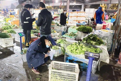 凌晨四点的萧山农批市场 盐城农产品新风尚