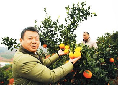 思想生根 作风扬帆——盐城扎实推进“两学一做”学习教育综述