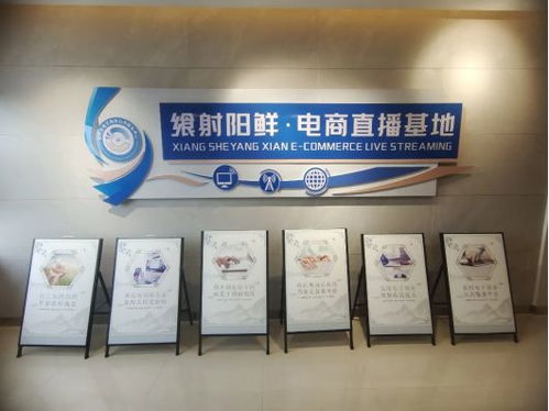 智慧农业绘就好“丰”景 探秘盐城射阳的现代农业新画卷