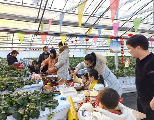 刘程媛 草莓姑娘逐梦乡村振兴的盐城答卷