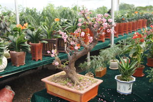 盐城市现代农业示范园 打造盐城农产品的绿色金名片