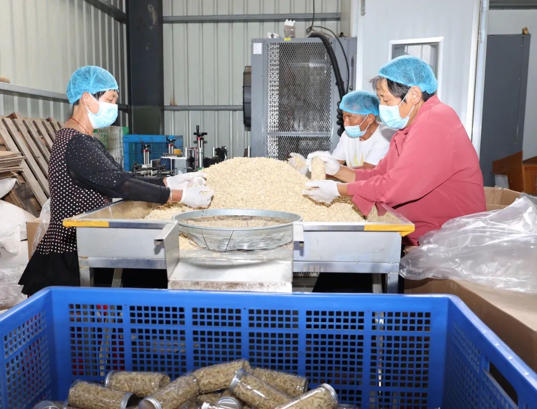 盐城农产品搭上“电商快车” “数商兴农”激活乡村振兴新动能