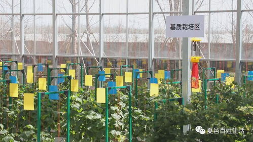 智慧农业促农产品提质增效 盐城农产品的现代化实践